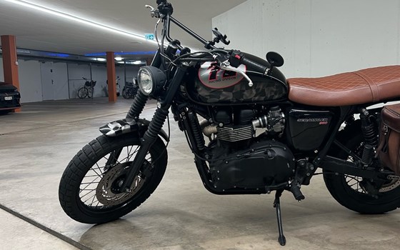 Motorrad Occasion Triumph Scrambler 900 - Bild 2
