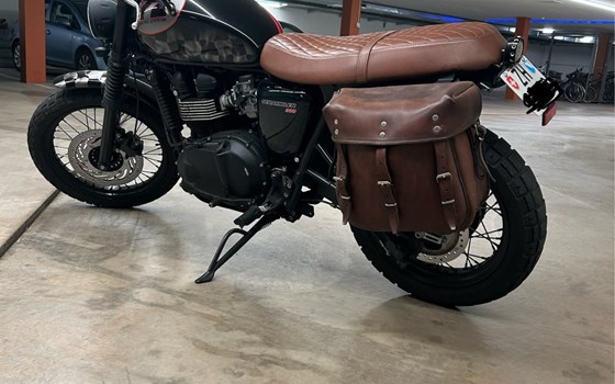 Motorrad Occasion Triumph Scrambler 900 - Bild 6