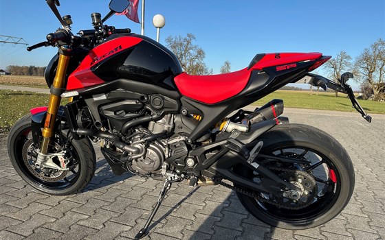 Gebrauchtmotorrad Ducati Monster SP - Bild 2