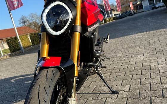 Gebrauchtmotorrad Ducati Monster SP - Bild 5