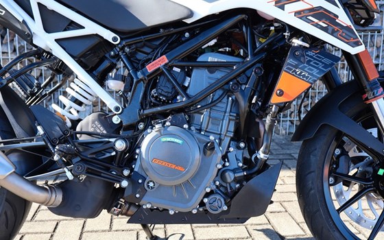 Neufahrzeug KTM 390 Duke - Bild 13