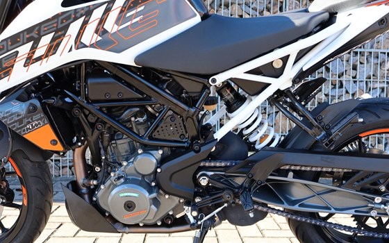 Neufahrzeug KTM 390 Duke - Bild 3