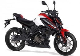 Neumotorrad Rieju NKD 125