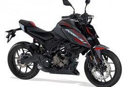 Neumotorrad Rieju NKD 125