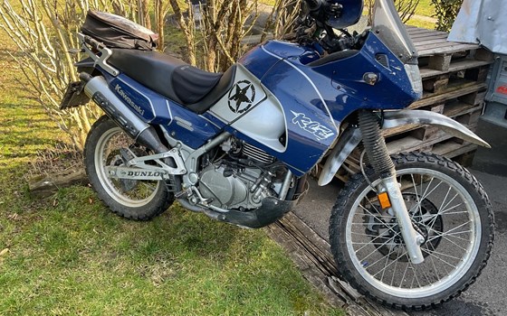 Gebrauchtmotorrad Kawasaki KLE 500 - Bild 1