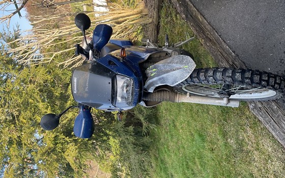 Gebrauchtmotorrad Kawasaki KLE 500 - Bild 3