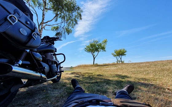 Motorrad Occasion Triumph Thunderbird Storm - Bild 16