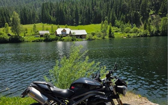 Gebrauchtmotorrad Triumph Speed Triple S - Bild 2