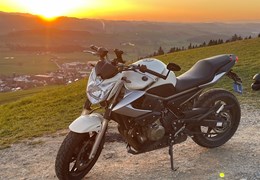 Occasion Yamaha XJ 600 N