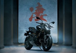 Neumotorrad Kawasaki Z650 S