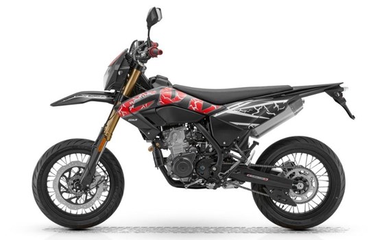 Neufahrzeug QJ Motor COV 125 SM - Bild 3