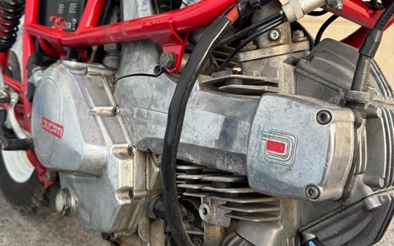 Gebrauchtmotorrad Ducati Pantah 500 - Bild 11