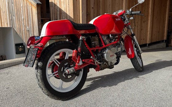Gebrauchtmotorrad Ducati Pantah 500 - Bild 2