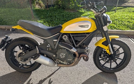 Gebrauchtmotorrad Ducati Scrambler Icon - Bild 1