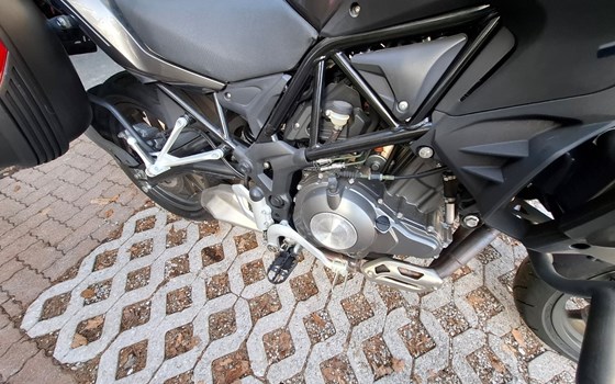 Gebrauchtmotorrad Benelli TRK 502 - Bild 8