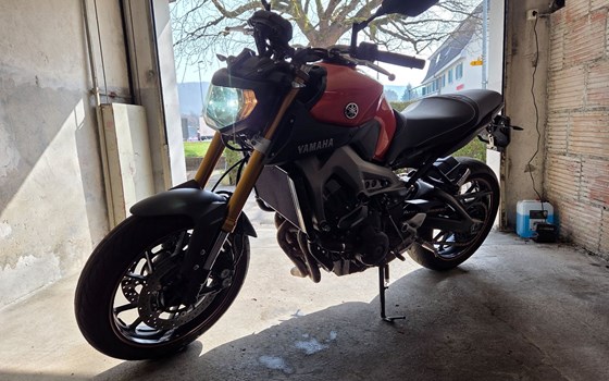 Motorrad Occasion Yamaha MT-09 - Bild 3