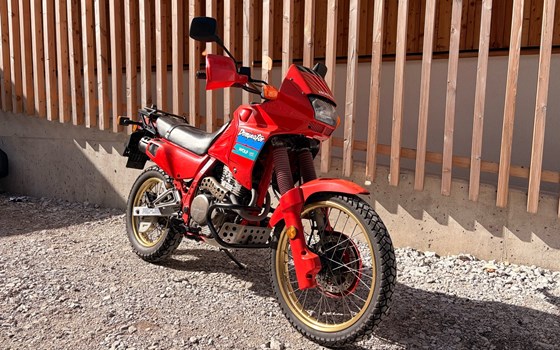 Gebrauchtmotorrad Honda NX 500 Dominator - Bild 1