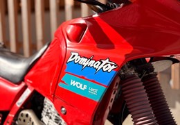 Gebrauchte Honda NX 500 Dominator