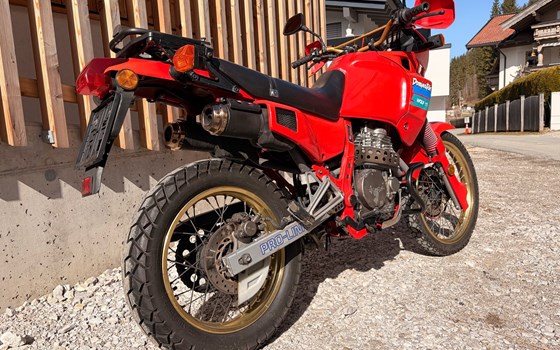 Gebrauchtmotorrad Honda NX 500 Dominator - Bild 5