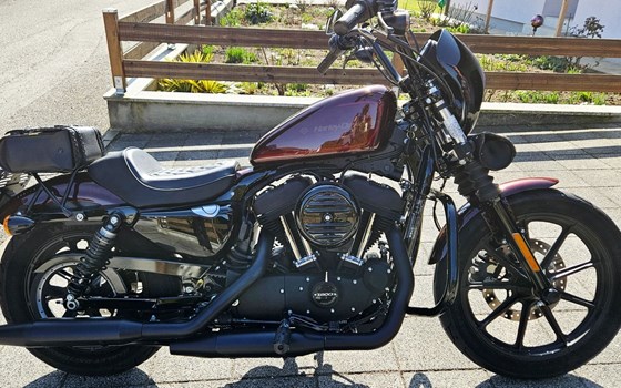 Gebrauchtmotorrad Harley-Davidson Sportster XL 1200NS Iron - Bild 5