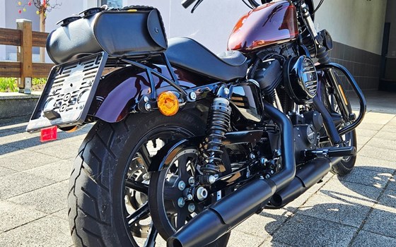 Gebrauchtmotorrad Harley-Davidson Sportster XL 1200NS Iron - Bild 6