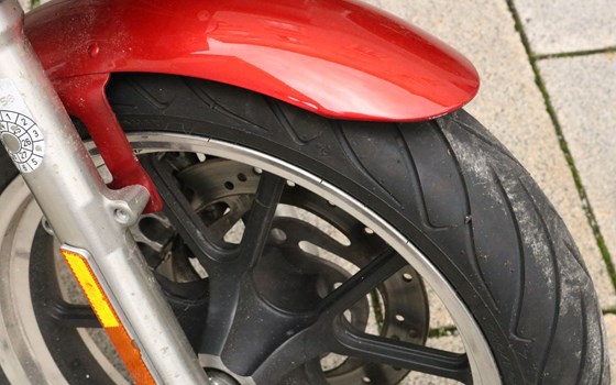 Gebrauchtmotorrad Harley-Davidson Sportster XL 883 C Custom - Bild 5