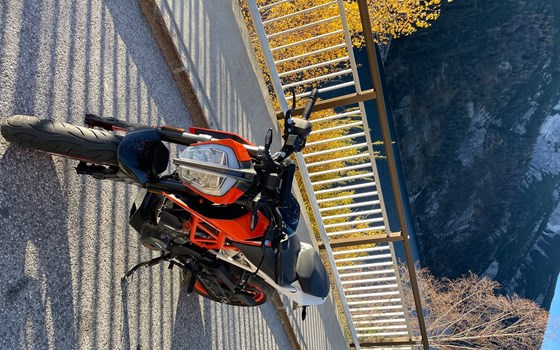 Gebrauchtmotorrad KTM 390 Duke - Bild 2