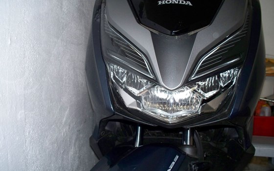 Gebrauchtmotorrad Honda Forza 300 - Bild 1