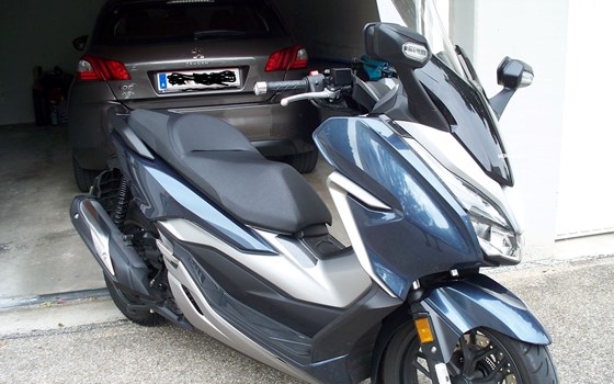 Gebrauchtmotorrad Honda Forza 300 - Bild 4