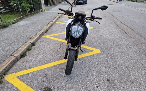 Gebrauchtmotorrad KTM 390 Duke - Bild 2