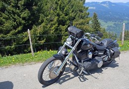 Occasion Harley-Davidson Dyna Wide Glide FXDWG