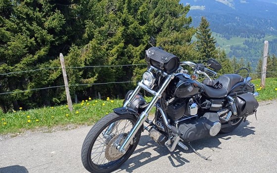 Motorrad Occasion Harley-Davidson Dyna Wide Glide FXDWG - Bild 1