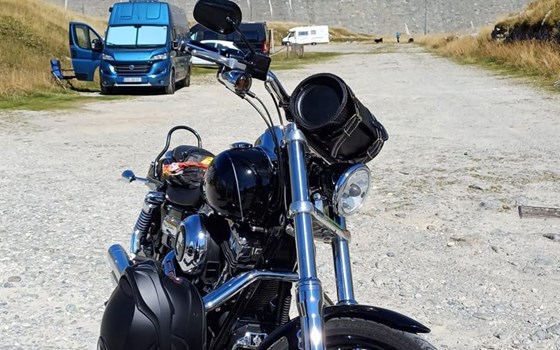 Motorrad Occasion Harley-Davidson Dyna Wide Glide FXDWG - Bild 6