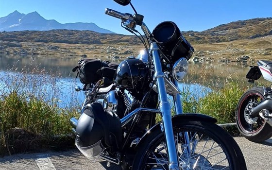 Motorrad Occasion Harley-Davidson Dyna Wide Glide FXDWG - Bild 7
