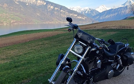 Motorrad Occasion Harley-Davidson Dyna Wide Glide FXDWG - Bild 8