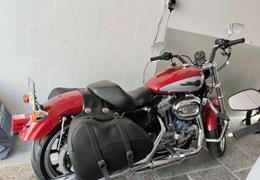 Gebrauchte Harley-Davidson Sportster XL 883 L SuperLow