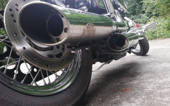 Gebrauchtmotorrad Harley-Davidson Dyna Low Rider FXDL - Bild 2