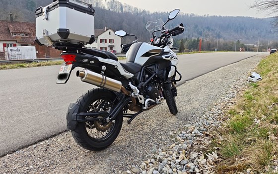 Motorrad Occasion Benelli TRK 502 X - Bild 3