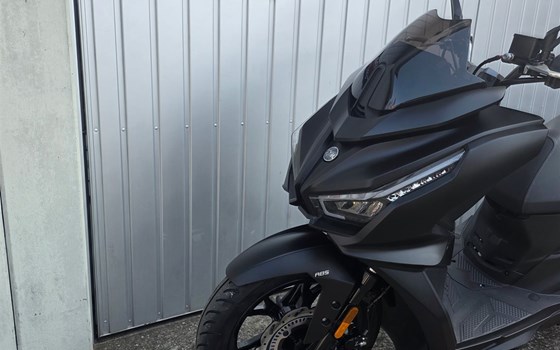 Neufahrzeug Sym Jet 14 125 - Bild 4