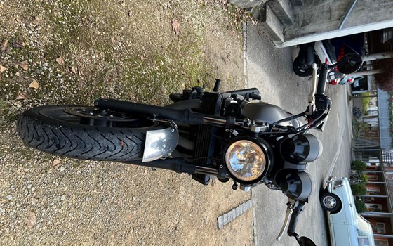 Motorrad Occasion Yamaha XJR 1300 - Bild 3