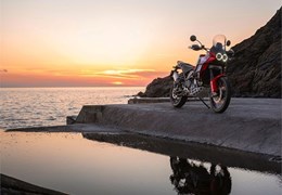 Occasion Ducati DesertX Discovery