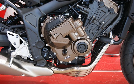 Neufahrzeug Honda CB650R E-Clutch - Bild 3