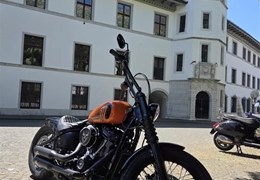 Occasion Harley-Davidson Softail Street Bob 114 FXBBS