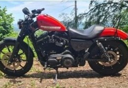 Gebrauchte Harley-Davidson Sportster XL 883 N Iron