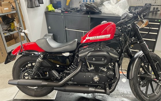 Gebrauchtmotorrad Harley-Davidson Sportster XL 883 N Iron - Bild 5