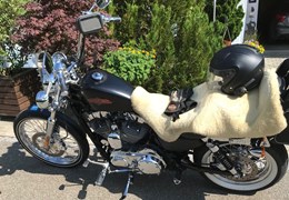 Occasion Harley-Davidson Sportster XL 1200 V Seventy-Two