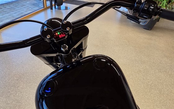 Gebrauchtmotorrad Harley-Davidson Fat Boy FLSTFI - Bild 16