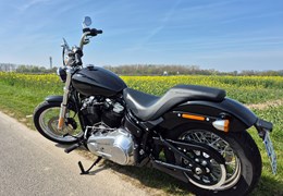 Gebrauchte Harley-Davidson Softail Standard FXST