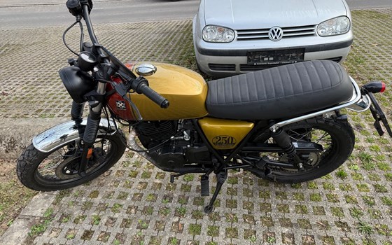 Gebrauchtmotorrad Brixton Cromwell 250 - Bild 9