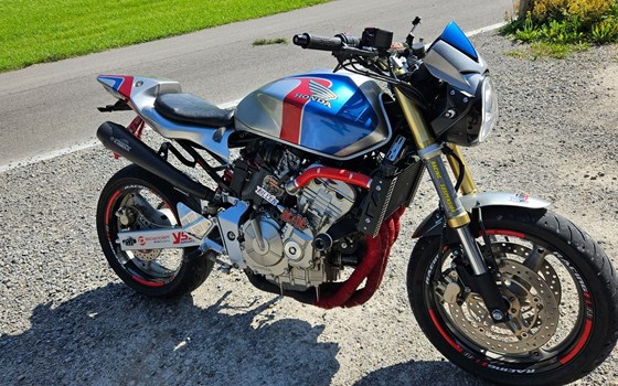 Motorrad Occasion Honda CB 600 F Hornet - Bild 3